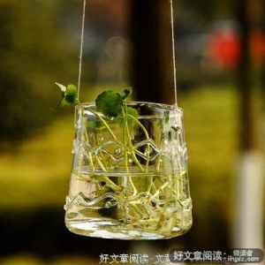好美的句子、永远都舍不得不删、真的！