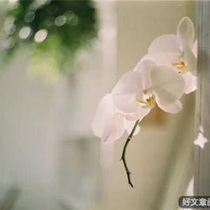 自律者出众，不自律者出局！