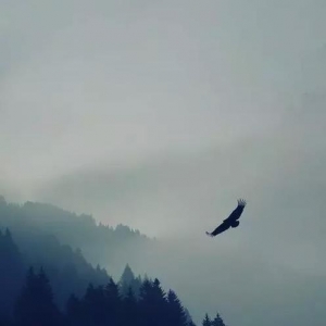 和颜悦色的孝