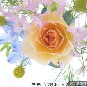 学会选择，懂得放弃