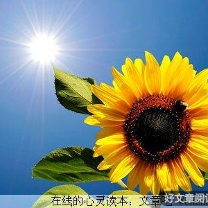 快乐会传染，请你看开