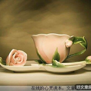 不是所有的付出都需要回报