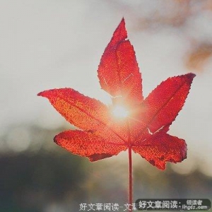 不是路已走到了尽头，而是该转弯了