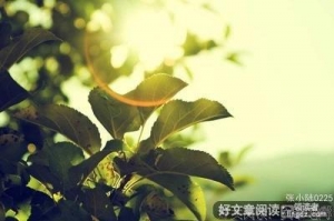 不怕缺乏独立思考，就怕全是标准答案