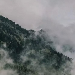 每一枚硬币都有它的出口