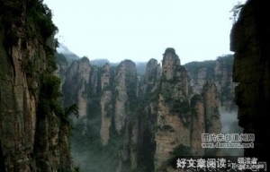 郁郁葱葱的名言_关于郁郁葱葱的名言