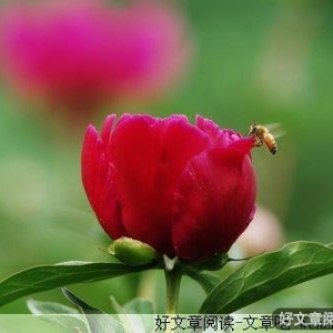 于喧嚣中寻找一份静谧