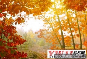 不欢而散的语句摘抄_关于不欢而散的语句