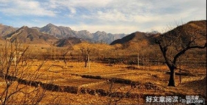 《穷山恶水》影评10篇