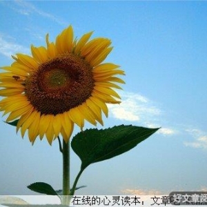 重拾信心，收获快乐