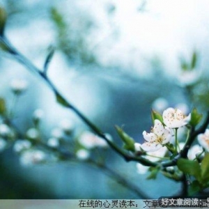 活着，要对得起生命