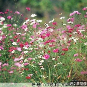 良知与善恶，何去何从