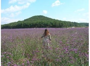 有此女人，此生足以