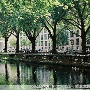 学会卑微，你才有机会变得高大！