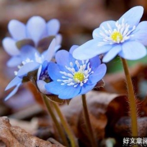 决定成败的，绝对不是细节