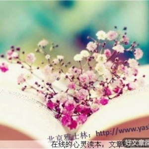 率性而为，做你自己就好