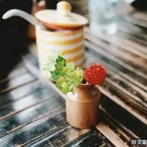 每天醒来，都是生命中美好的一天