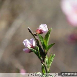 幸福其实和每个人如影随形