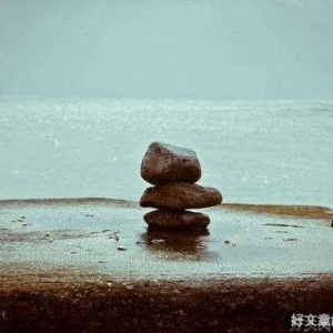 一只鸡的尊严