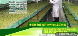 走向成功千年不变的规则，耐心看看吧！