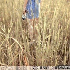 规则的创造