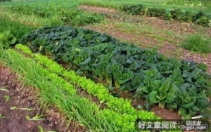 “六一”到了，致回不去的童年!