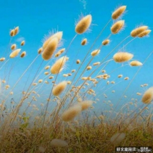 忍耐有时很疼，但结果会很甜蜜