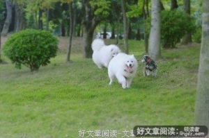 快乐是如何逃跑的