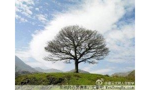 静静的体会人生