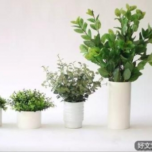 愿你也能，向生活摆出喜悦的姿态