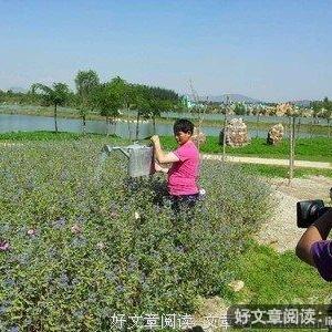 做个好人并不难