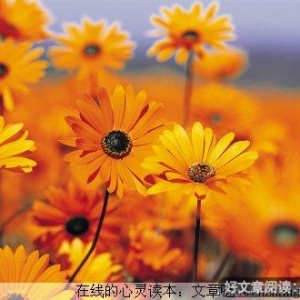 忍让并不是懦弱