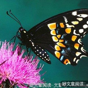 做事要方，做人要圆！