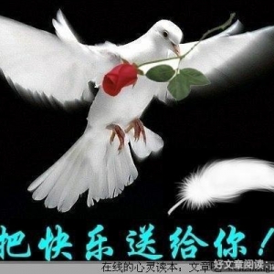 做自己情绪的主人——学会情绪调节