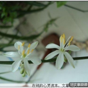 读懂别人易，了解自己难