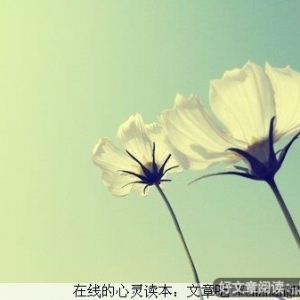 心态决定人生