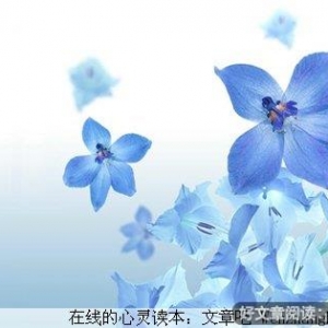 学会随缘，淡看人生得失