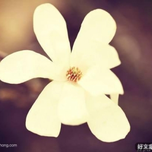 少与怨气相处，多花时间自省