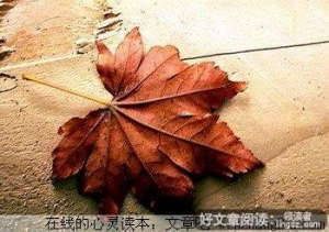 树叶不全是被风吹落的
