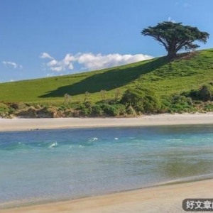 树大招风，这四种错误一定要避免，否则会烦恼终身