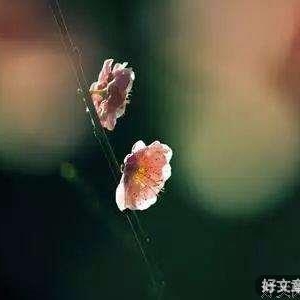 扛不住的时候，读一遍