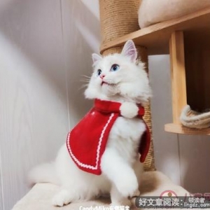 收心的句子
