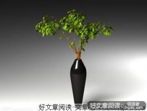 藏在花瓶背后的秘密