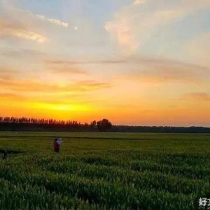不怕你进步太慢，就怕你放弃太快