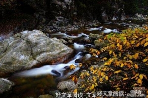 空山新雨
