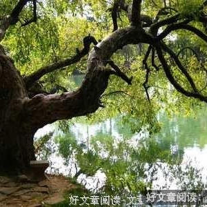 心乱的时候，想了很多，写了很多！