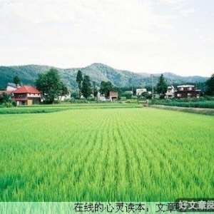 女人对女人的忠告