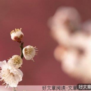 让感情发酵，品味独特时光