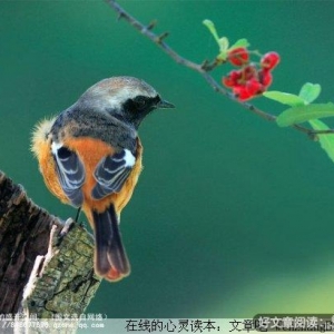 走出心灵的寒冬