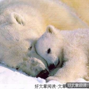 生命悬崖上，单相思有了美丽激荡的回声